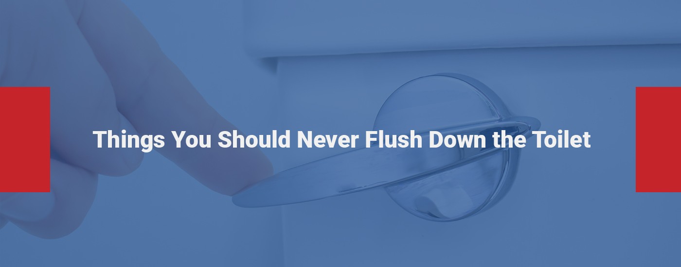 Thing You Should Not Flush Image Banner